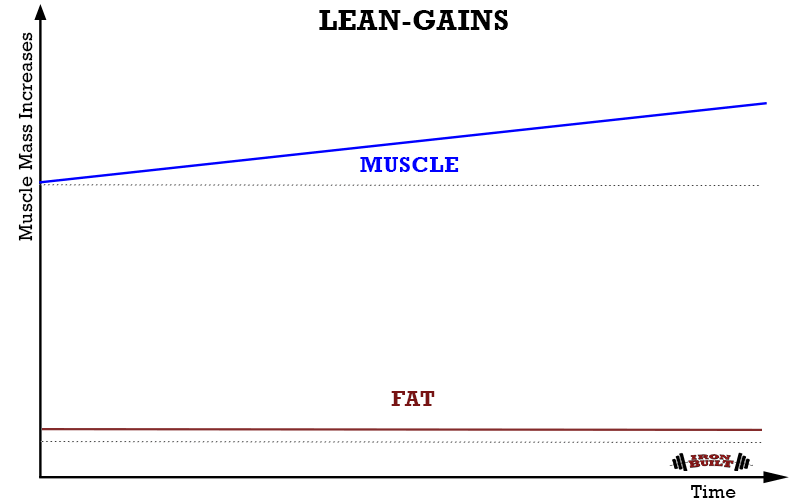 LEAN-GAINS-METHOD