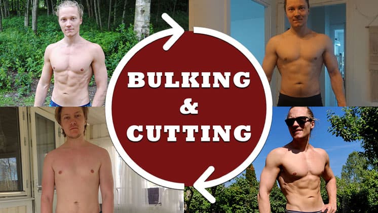 bulking-and-cutting-cycles