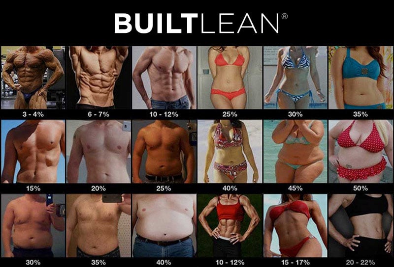 Body fat percentage men and women