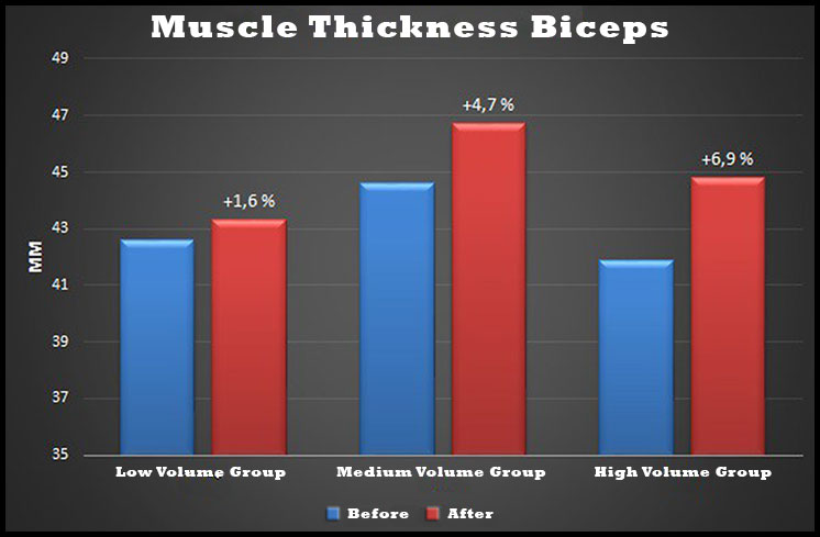 biceps-thickness-study