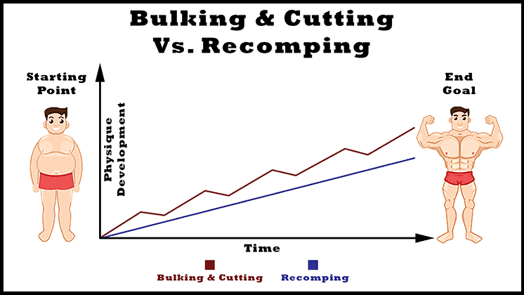 bulking-and-cutting-vs-body-recomposition 