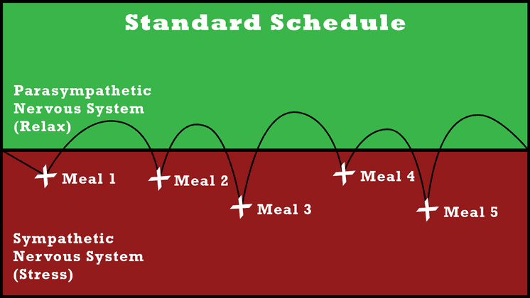 standard meal schedule stress and relax
