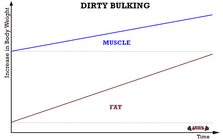 DIRTY-BULKING-graph