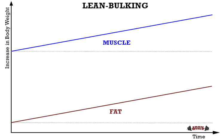 LEAN-BULKING-graph-Recovered