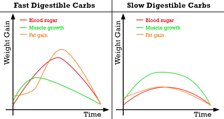 fast-vs-slow-digestible-carbs