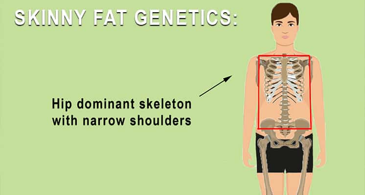 SKINNY FAT GENETICS